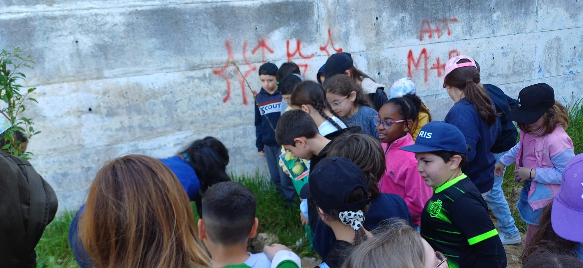 Alunos da EB1 de Gualtar plantam uma árvore