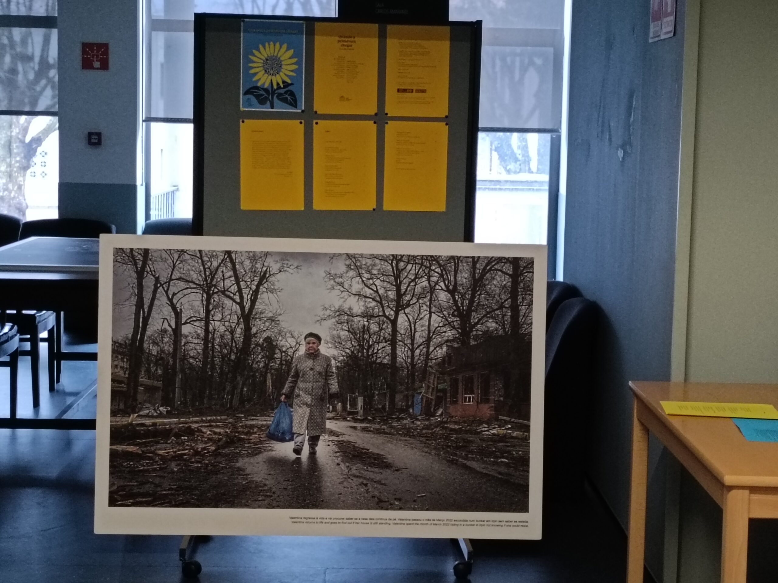 Biblioteca Escolar inaugura exposição de fotografia documental sobre a Ucrânia