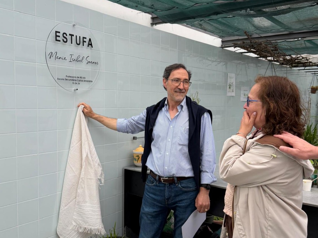 Estufa escolar, um local de trabalho, experimentação e muita partilha