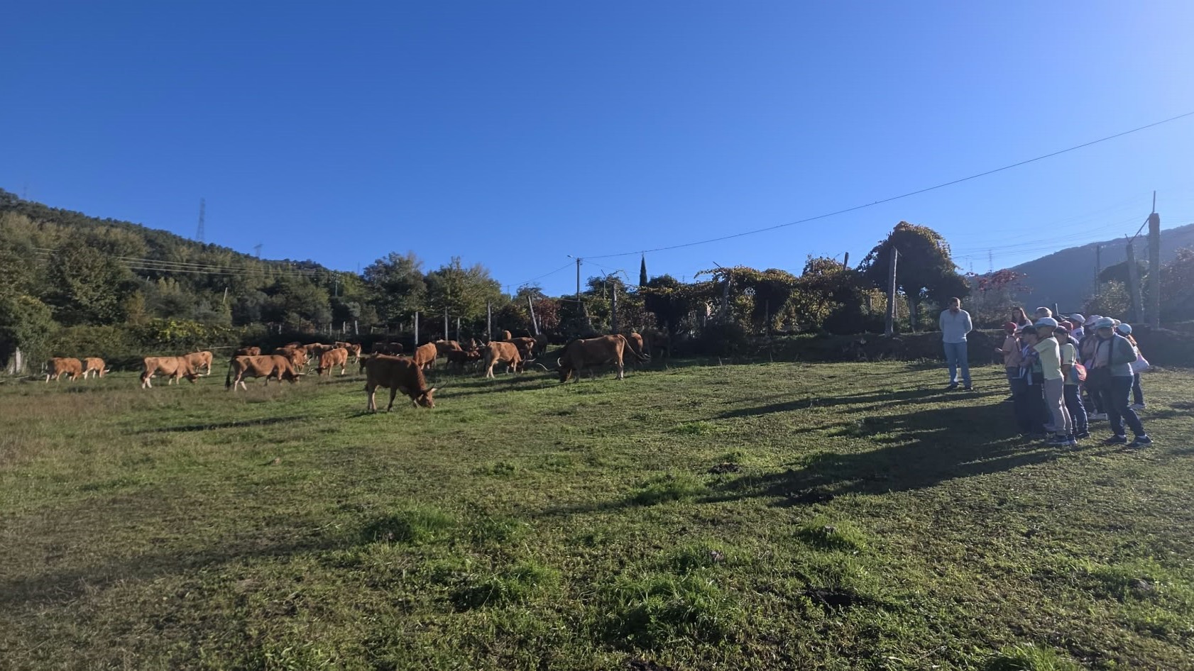 Visita à Quinta de Pregal: aprender a cuidar da natureza